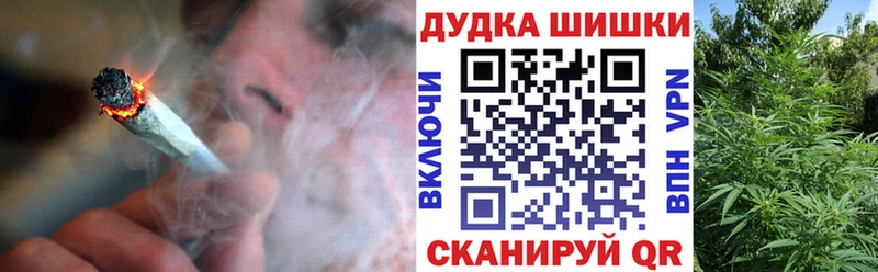 Бошки Шишки сатива  Купить где  Ижевск 